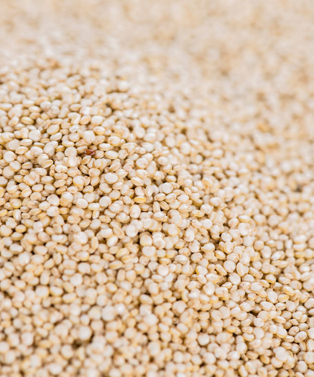 Quinoa